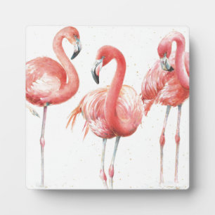 熱帯性 Flamingosファミリー フォトプラーク