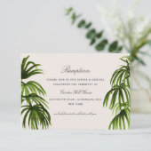 熱帯愛/披露宴 エンクロージャーカード (スタンド正面)