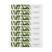 熱帯愛/覆いの差出人住所 ラップアラウンドラベル (シート)