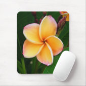 熱帯感覚 マウスパッド (マウス)