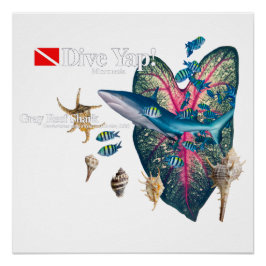 熱帯招待状 ポスター