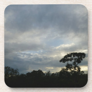 熱帯日没のコースター コースター