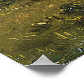 熱帯景観フレデリック・エドウィン教会 ポスター (角)