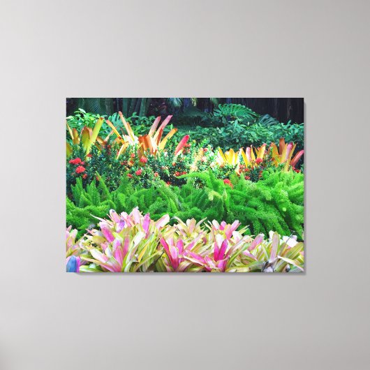 熱帯景観 キャンバスプリント (正面)