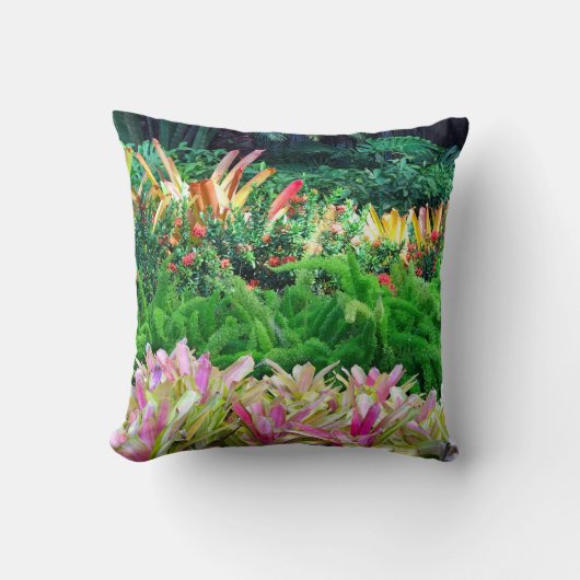 熱帯景観 クッション (正面)