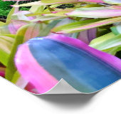 熱帯景観 ポスター (角)