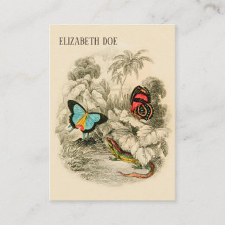 熱帯林のチョウ-自然作家 名刺