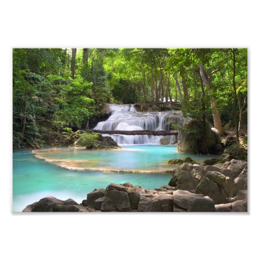 熱帯林の流れ フォトプリント            (正面)