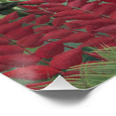 熱帯林サルと1910 (キャンバス上の油) ポスター (コーナー)