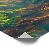 熱帯林 ポスター (角)