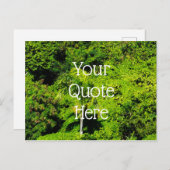 熱帯林 ポストカード (正面/裏面)