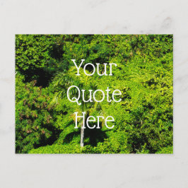 熱帯林 ポストカード