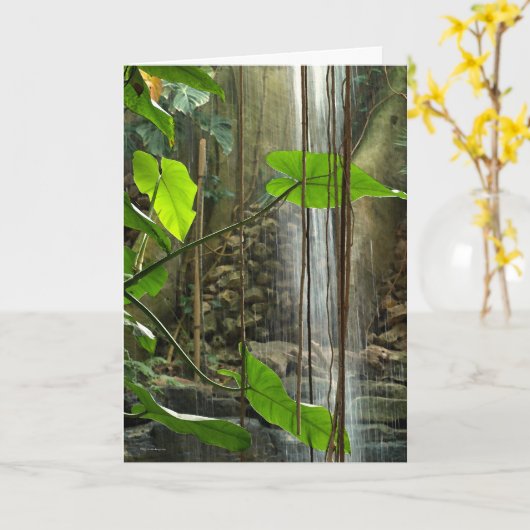 熱帯林（弔意カード） カード (黄色い花)