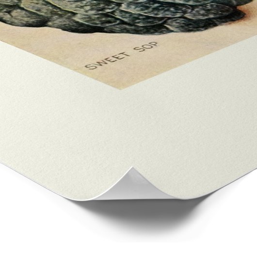 熱帯果実 ポスター (角)