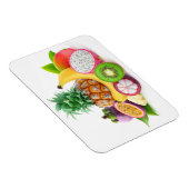 熱帯果実 マグネット (右側)