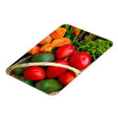 熱帯果実 マグネット (左側)