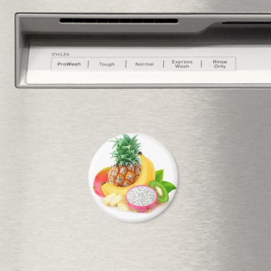 熱帯果実 マグネット (インサイチュ (食洗機))