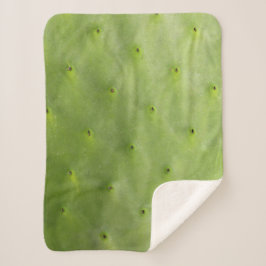 熱帯植物の緑のサボテンの写真 シェルパブランケット