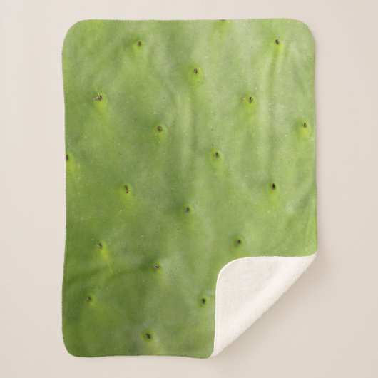 熱帯植物の緑のサボテンの写真 シェルパブランケット (正面)