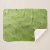 熱帯植物の緑のサボテンの写真 シェルパブランケット (正面(横))