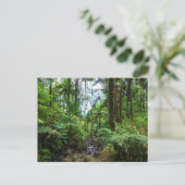 熱帯植物エルユンケ熱帯雨林はがき ポストカード (スタンド正面)