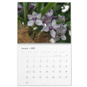 熱帯植物カレンダー2022 （ラン） カレンダー (1月 2027)