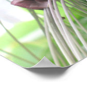 熱帯植物ポスタープリント ポスター (角)