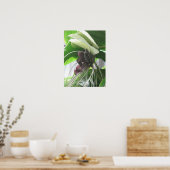 熱帯植物ポスタープリント ポスター (キッチン)