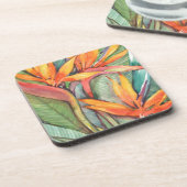 熱帯植物園パラダイスII コースター (左側)