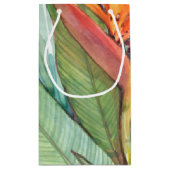 熱帯植物園パラダイスII スモールペーパーバッグ (裏面)