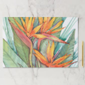 熱帯植物園パラダイスII ペーパーパッド (インサイチュ)