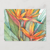 熱帯植物園パラダイスII ポストカード (正面)