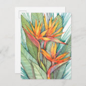 熱帯植物園パラダイスII ポストカード (正面/裏面)