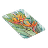 熱帯植物園パラダイスII マグネット (右側)