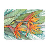 熱帯植物園パラダイスII マグネット (横)