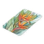 熱帯植物園パラダイスII マグネット (左側)