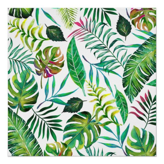 熱帯植物相 ポスター (正面)