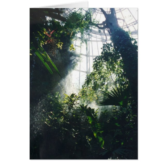 熱帯植物 (正面)