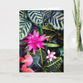 熱帯植物 カード