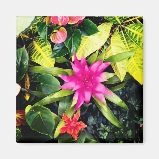 熱帯植物 マグネット (正面)