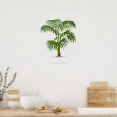 熱帯植物、植物イラストレーションヴィンテージアートポスター ポスター (キッチン)