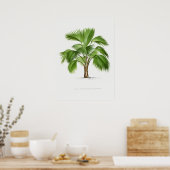 熱帯植物、植物イラストレーションヴィンテージアートポスター ポスター (キッチン)