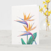 熱帯極楽鳥によっては挨拶状が開花します カード (黄色い花)