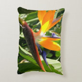 熱帯極楽鳥 アクセントクッション (裏面(縦))
