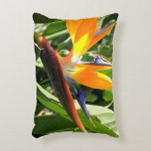 熱帯極楽鳥 アクセントクッション (正面(垂直))
