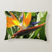 熱帯極楽鳥 アクセントクッション (裏面)