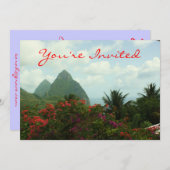 熱帯楽園の招待状 招待状 (正面/裏面)