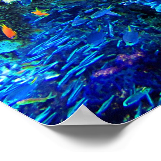 熱帯水中生態系 ポスター (角)