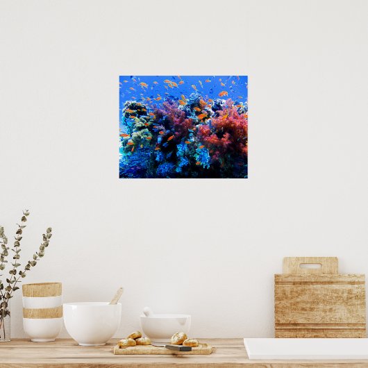 熱帯水中生態系 ポスター (キッチン)