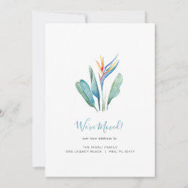 熱帯水彩花動発表 シーズンカード